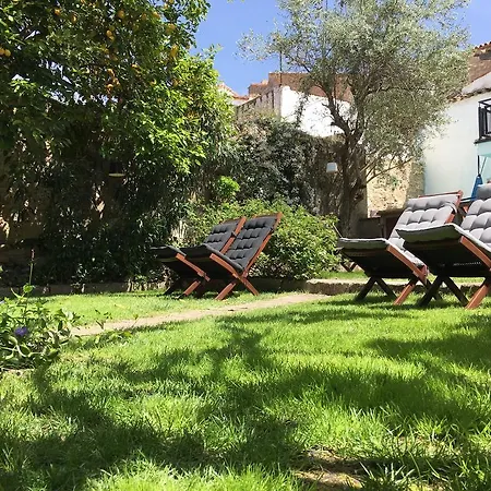 El Baciyelmo Daire *